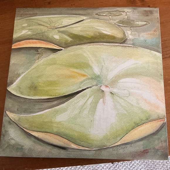 Lily Pad Pictures - Picture 5 of 9